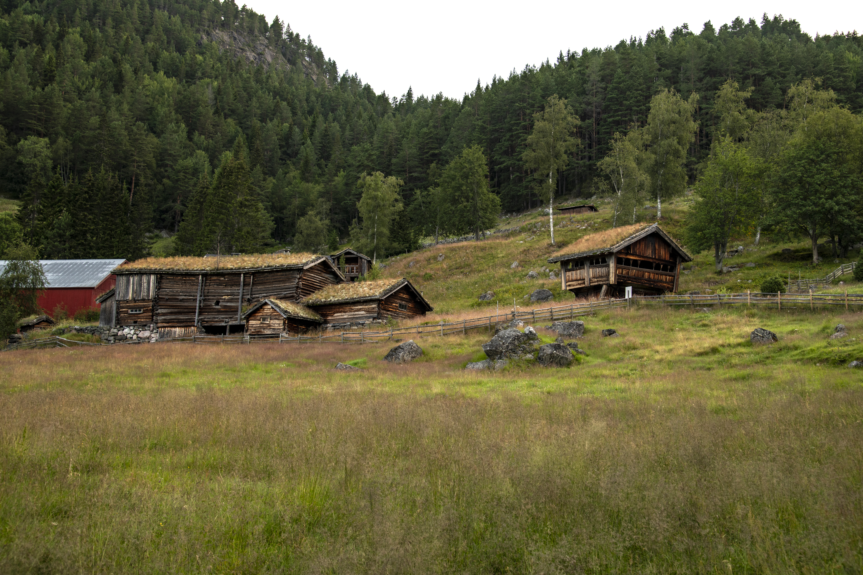 Landskapsbilde med gamle tømmerbygninger.