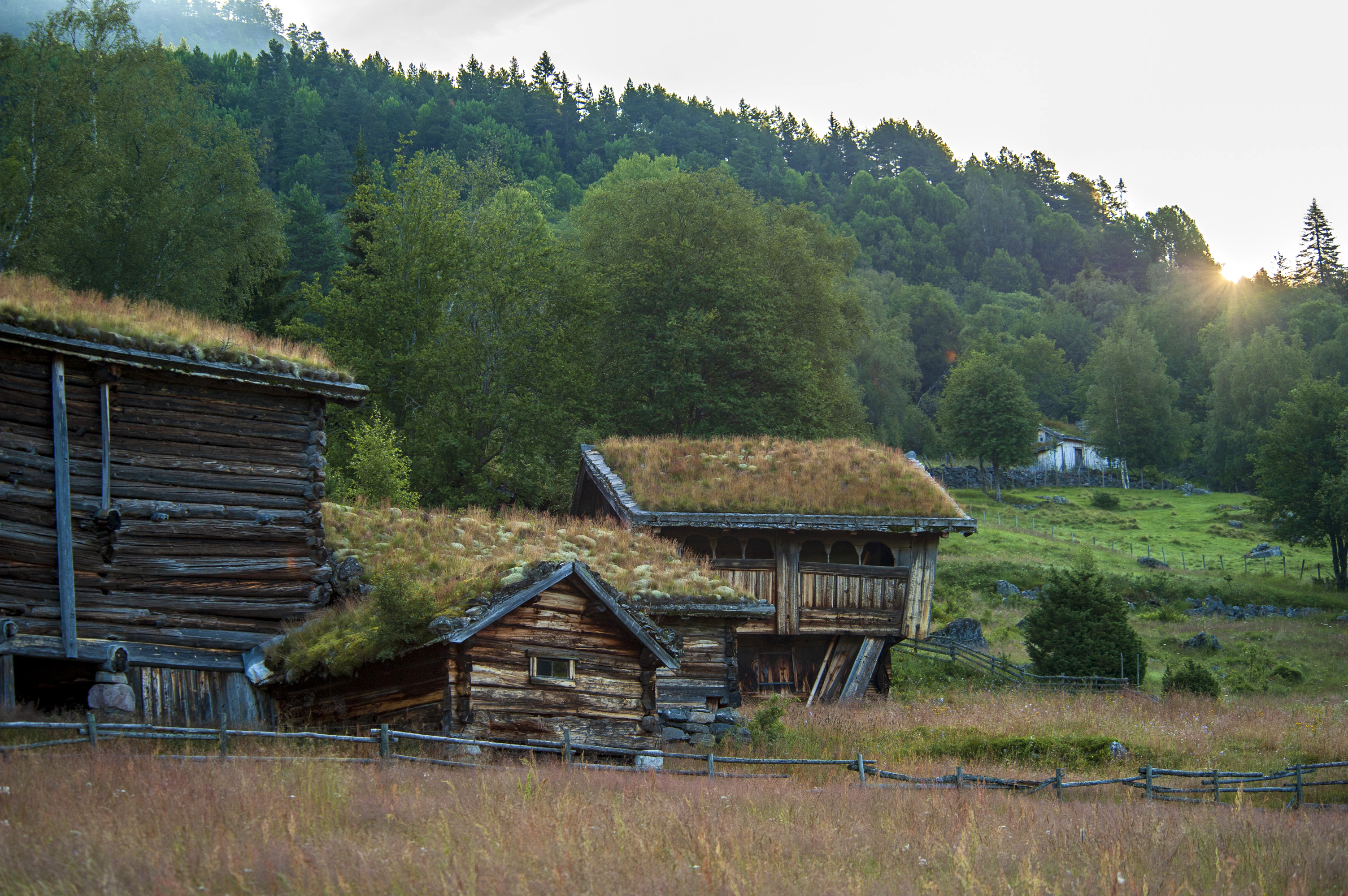 Gamle trebygninger i landskap